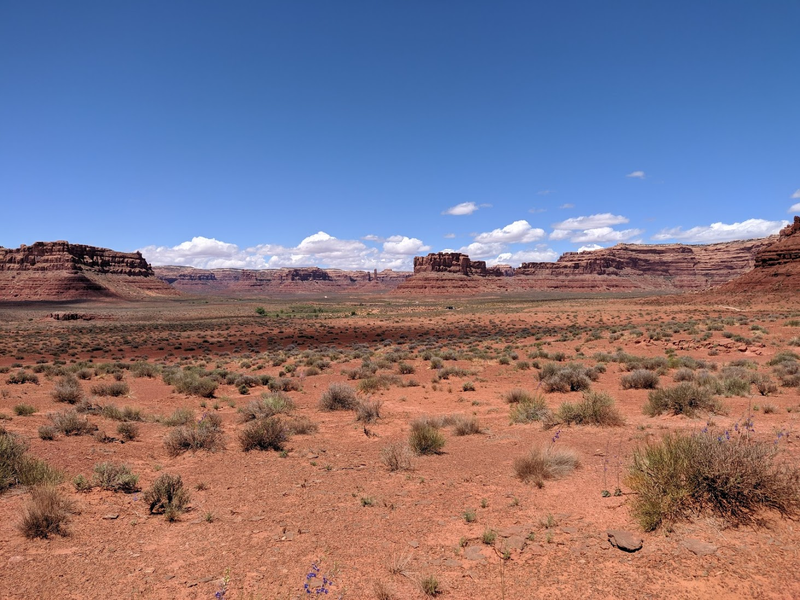 Illustration for article titled Bears ears day 3 - in the valley of the gods